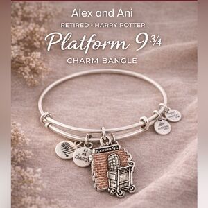 Alex and Ani Harry Potter Platform 9¾ Charm Bangle Rafaelian Silver NWT Retired